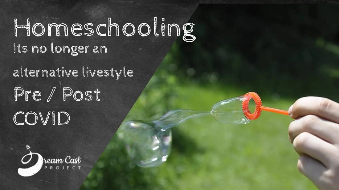 Homeschooling is not for everyone or should we all try it?