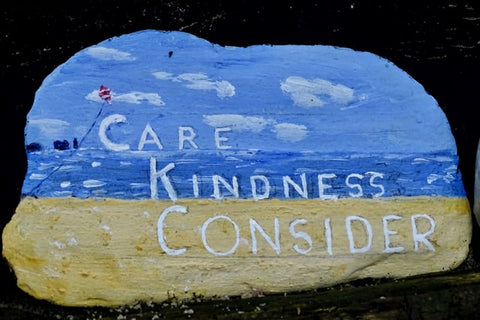 kindness rock